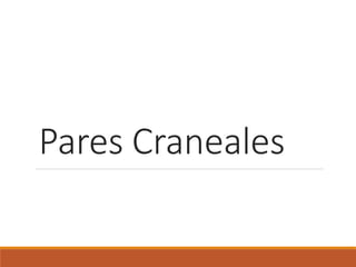 Pares Craneales
 