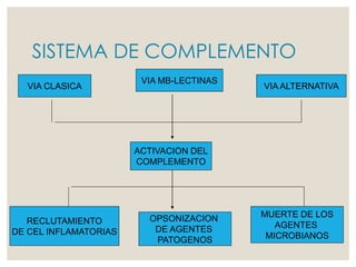 SISTEMA DE COMPLEMENTO
VIA CLASICA
VIA MB-LECTINAS
VIA ALTERNATIVA
ACTIVACION DEL
COMPLEMENTO
RECLUTAMIENTO
DE CEL INFLAMATORIAS
OPSONIZACION
DE AGENTES
PATOGENOS
MUERTE DE LOS
AGENTES
MICROBIANOS
 