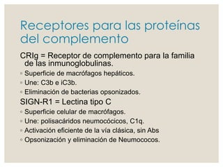 Clase 10 sistema de complemento | PPTX