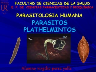 PARASITOLOGIA HUMANA
Alumno virgilio perez yalle
FACULTAD DE CIENCIAS DE LA SALUD
E. P. DE CIENCIAS FARMACEUTICAS Y BIOQUÍMICA
PARASITOS
PLATHELMINTOS
 
