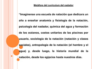 Metáfora del currículum del nadador 
“Imagínense una escuela de natación que dedicara un 
año a enseñar anatomía y fisiología de la natación, 
psicología del nadador, química del agua y formación 
de los océanos, costos unitarios de las piscinas por 
usuario, sociología de la natación (natación y clases 
sociales), antropología de la natación (el hombre y el 
agua) y, desde luego, la historia mundial de la 
natación, desde los egipcios hasta nuestros días. 
 