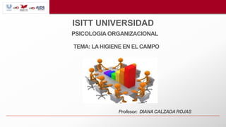 ISITT UNIVERSIDAD
PSICOLOGIA ORGANIZACIONAL
Profesor: DIANACALZADAROJAS
TEMA: LA HIGIENE EN EL CAMPO
 