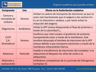 Compuesto Uso Efecto en la fosforilación oxidativa
Cianuro y
monóxido de
carbono
Veneno
Inhiben la cadena de transporte de electrones ya que se
unen más fuertemente que el oxígeno a los centros Fe–
Cu en la citocromo c oxidasa, y por tanto evitan la
reducción del oxígeno.
Oligomicina Antibiótico
Inhibe la ATP sintasa bloqueando el flujo de protones a
través de la subunidad Fo.
CCCP
2,4-
Dinitrofenol
Veneno
Ionóforos que interrumpen el gradiente de protones
transportando estos a través de la membrana. Este
ionoforo desacopla el bombeo de electrones de la ATP
sintasa debido a que transporta electrones a través de la
membrana mitocondrial interna.
Rotenona Pesticida
Impide la transferencia de electrones del complejo I a la
ubiquinona al bloquear los sitios de unión a la
ubiquinona.
Malonato y
oxaloacetato
Inhibidores competitivos de la succinato de hidrogenasa
(complejo II).
 