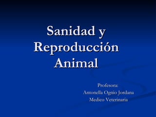 Sanidad y Reproducción  Animal  Profesora:  Antonella Ognio Jordana Medico Veterinaria 