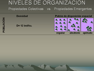 Introducción a la ecología - clase1.ppsx
