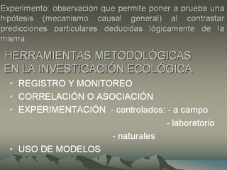 Introducción a la ecología - clase1.ppsx