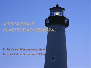 APRENDIZAJE  PLASTICIDAD CEREBRAL Ft. Rocío del Pilar Martínez Marín Universidad de Santander “UDES” 