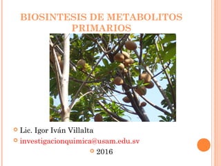 BIOSINTESIS DE METABOLITOS
PRIMARIOS
 Lic. Igor Iván Villalta
 investigacionquimica@usam.edu.sv
 2016
 