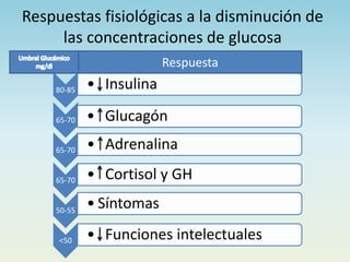 Respuestas fisiológicas a la disminución de
las concentraciones de glucosa
80-85 • Insulina
65-70 • Glucagón
65-70 • Adrenalina
65-70 • Cortisol y GH
50-55
• Síntomas
<50 • Funciones intelectuales
Respuesta
 