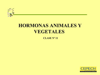 HORMONAS ANIMALES Y VEGETALES     CLASE Nº 11 