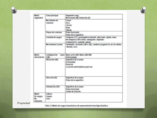 Propiedad intelectual de E. Natalia Mamaní
 