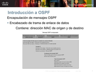 6© 2007 Cisco Systems, Inc. Todos los derechos reservados. Cisco Public
Introducción a OSPF
Encapsulación de mensajes OSPF
 Encabezado de trama de enlace de datos
Contiene: dirección MAC de origen y de destino
 