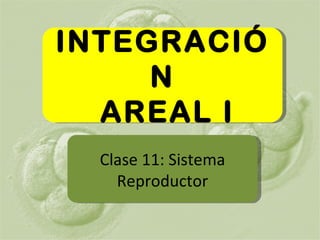 INTEGRACIÓN AREAL I Clase 11: Sistema Reproductor 