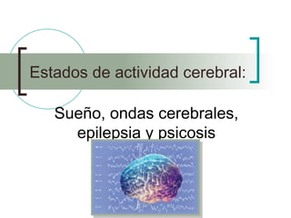 Estados de actividad cerebral:

   Sueño, ondas cerebrales,
     epilepsia y psicosis
 