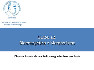 CLASE 12.
Bioenergética y Metabolismo
Diversas formas de uso de la energía desde el ambiente.

 