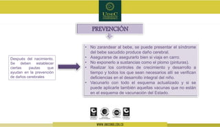 • No zarandear al bebe, se puede presentar el síndrome
del bebe sacudido produce daño cerebral.
• Asegurarse de asegurarlo bien si viaja en carro.
• No exponerlo a sustancias como el plomo (pinturas).
• Realizar los controles de crecimiento y desarrollo a
tiempo y todos los que sean necesarios allí se verifican
deficiencias en el desarrollo integral del niño.
• Vacunarlo con todo el esquema actualizado y si se
puede aplicarle también aquellas vacunas que no están
en el esquema de vacunación del Estado.
PREVENCIÓN
Después del nacimiento.
Se deben establecer
ciertas pautas que
ayudan en la prevención
de daños cerebrales
 