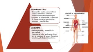 FISIO PATOLOGIA
• Corroen los tejidos y se combinan
con las albúminas, formando
combinaciones solubles en agua
• Necrosis de licuefacción y conduce a
la formación de escaras blandas,
untuosas y translúcidas.
SINTOMAS
• Dolores agudos y sensación de
quemadura.
• Vómitos de color pardo amarillento
por la presencia de sangre (hematina
alcalina), y la deglución dolorosa
 