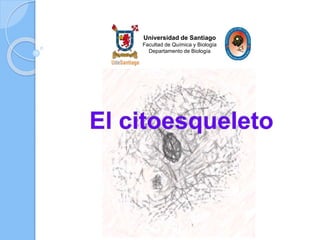 Universidad de Santiago
Facultad de Química y Biología
Departamento de Biología
 