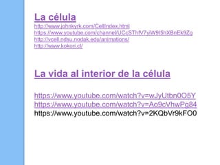 La célula
http://www.johnkyrk.com/CellIndex.html
https://www.youtube.com/channel/UCcSThfV7yiW9I5hXBnEk9Zg
http://vcell.ndsu.nodak.edu/animations/
http://www.kokori.cl/
La vida al interior de la célula
https://www.youtube.com/watch?v=wJyUtbn0O5Y
https://www.youtube.com/watch?v=Ao9cVhwPg84
https://www.youtube.com/watch?v=2KQbVr9kFO0
 