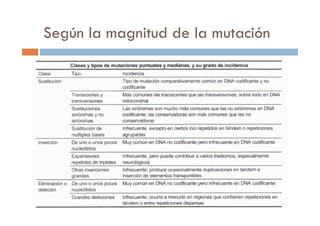 Según la magnitud de la mutación
 