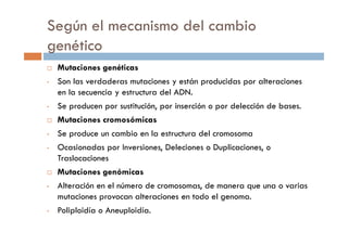 Mutaciones genéticas
• Son las verdaderas mutaciones y están producidas por alteraciones
en la secuencia y estructura del ADN.
• Se producen por sustitución, por inserción o por delección de bases.
Mutaciones cromosómicas
Según el mecanismo del cambio
genético
Mutaciones cromosómicas
• Se produce un cambio en la estructura del cromosoma
• Ocasionadas por Inversiones, Deleciones o Duplicaciones, o
Traslocaciones
Mutaciones genómicas
• Alteración en el número de cromosomas, de manera que una o varias
mutaciones provocan alteraciones en todo el genoma.
• Poliploidía o Aneuploidía.
 