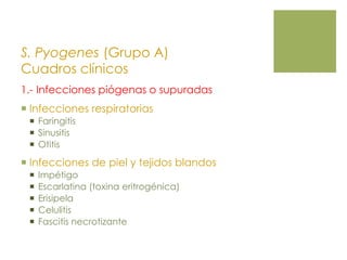S. Pyogenes (Grupo A)
Cuadros clínicos
1.- Infecciones piógenas o supuradas
 Infecciones respiratorias
 Faringitis
 Sinusitis
 Otitis
 Infecciones de piel y tejidos blandos
 Impétigo
 Escarlatina (toxina eritrogénica)
 Erisipela
 Celulitis
 Fascitis necrotizante
 