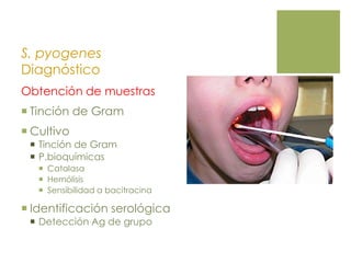 S. pyogenes
Diagnóstico
Obtención de muestras
 Tinción de Gram
 Cultivo
 Tinción de Gram
 P.bioquímicas
 Catalasa
 Hemólisis
 Sensibilidad a bacitracina
 Identificación serológica
 Detección Ag de grupo
 