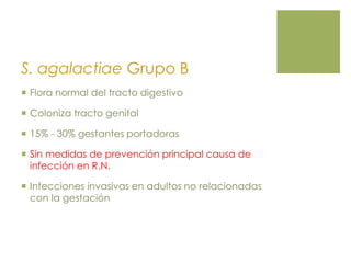 S. agalactiae Grupo B
 Flora normal del tracto digestivo
 Coloniza tracto genital
 15% - 30% gestantes portadoras
 Sin medidas de prevención principal causa de
infección en R.N.
 Infecciones invasivas en adultos no relacionadas
con la gestación
 