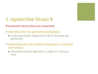 S. agalactiae Grupo B
Prevención de la infección neonatal
 Identificación de gestantes portadoras
 Cultivo exudado vaginorectal 35-37 semanas de
gestación.
 Administración de profilaxis intraparto a todas las
portadoras
 Penicilina al inicio del parto y cada 4 h. hasta el
final.
 
