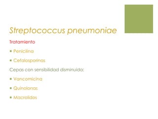 Streptococcus pneumoniae
Tratamiento
 Penicilina
 Cefalosporinas
Cepas con sensibilidad disminuida:
 Vancomicina
 Quinolonas
 Macrolidos
 