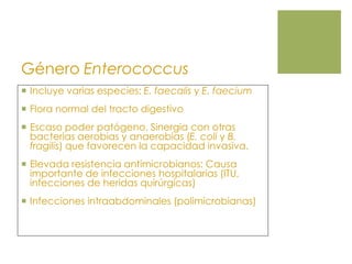 Género Enterococcus
 Incluye varias especies: E. faecalis y E. faecium
 Flora normal del tracto digestivo
 Escaso poder patógeno. Sinergia con otras
bacterias aerobias y anaerobias (E. coli y B.
fragilis) que favorecen la capacidad invasiva.
 Elevada resistencia antimicrobianos: Causa
importante de infecciones hospitalarias (ITU,
infecciones de heridas quirúrgicas)
 Infecciones intraabdominales (polimicrobianas)
 