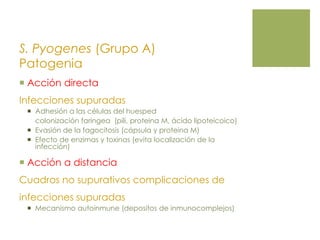 S. Pyogenes (Grupo A)
Patogenia
 Acción directa
Infecciones supuradas
 Adhesión a las células del huesped
colonización faringea (pili, proteina M, ácido lipoteicoico)
 Evasión de la fagocitosis (cápsula y proteina M)
 Efecto de enzimas y toxinas (evita localización de la
infección)
 Acción a distancia
Cuadros no supurativos complicaciones de
infecciones supuradas
 Mecanismo autoinmune (depositos de inmunocomplejos)
 