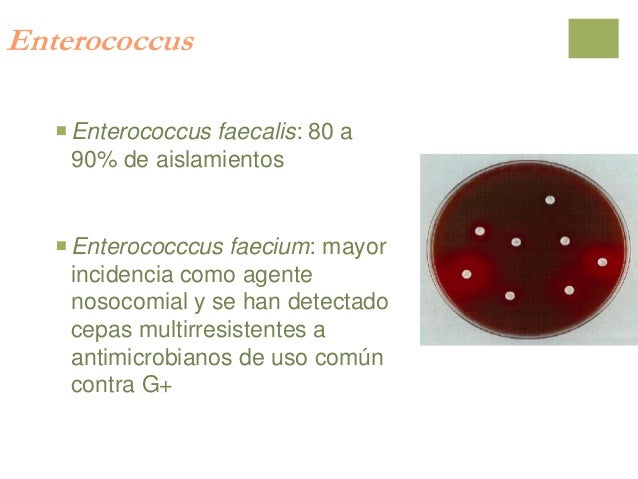 Curso de microbiologia