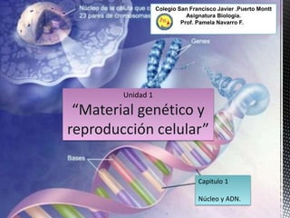 Unidad 1
“Material genético y
reproducción celular”
Colegio San Francisco Javier .Puerto Montt
Asignatura Biología.
Prof. Pamela Navarro F.
Capitulo 1
Núcleo y ADN.
 