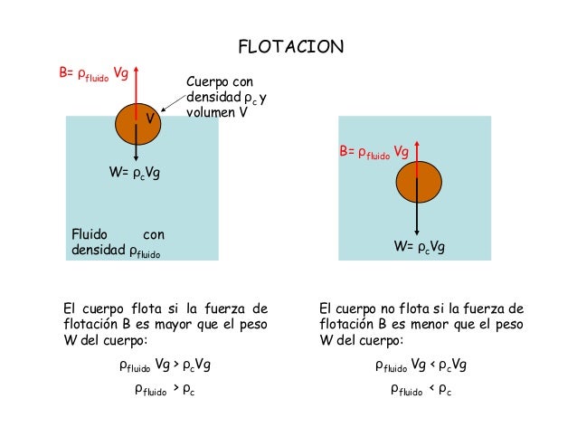 fisica