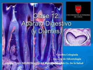 Clase 12:
Aparato Digestivo
(y Dientes)

Cátedra Colegiada
Escuela de Odontología
Facultad de Cs. De la Salud

 