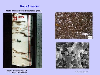 Creta intensamente bioturbada (Kan)
Pozo : Cacalilao 3114
Prof.: 522.00 m
Modificado PEP – DKD 1997
Roca Almacén
 