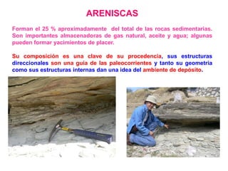 ARENISCAS
Forman el 25 % aproximadamente del total de las rocas sedimentarias.
Son importantes almacenadoras de gas natural, aceite y agua; algunas
pueden formar yacimientos de placer.
Su composición es una clave de su procedencia, sus estructuras
direccionales son una guía de las paleocorrientes y tanto su geometría
como sus estructuras internas dan una idea del ambiente de depósito.
 