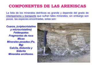 COMPONENTES DE LAS ARENISCAS
La lista de los minerales detríticos es grande y depende del grado de
intemperismo y transporte que sufran tales minerales; sin embargo son
pocas las especies encontradas, estas son:
Cuarzo, (criptocristalino
y microcristalino)
Feldespatos
Fragmentos de roca
Micas
Minerales pesados (Fe,
Mg)
Calcita, Dolomita y
Siderita
Minerales arcillosos.
 