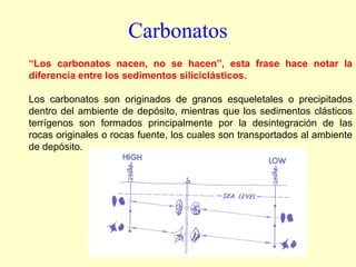 “Los carbonatos nacen, no se hacen”, esta frase hace notar la
diferencia entre los sedimentos siliciclásticos.
Los carbonatos son originados de granos esqueletales o precipitados
dentro del ambiente de depósito, mientras que los sedimentos clásticos
terrígenos son formados principalmente por la desintegración de las
rocas originales o rocas fuente, los cuales son transportados al ambiente
de depósito.
Carbonatos
 