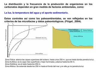La distribución y la frecuencia de la producción de organismos en los
carbonatos dependen en gran medida de factores ambientales, como:
La luz, la temperatura del agua y el aporte sedimentario.
Estos controles así como los paleoambientales, se ven reflejados en los
criterios de las microfacies y datos paleontológicos. (Flügel, .2004).
Zona Fótica: abarca las capas superiores del océano, hasta unos 250 m, que es hasta donde penetra la luz.
Zona Eufótica: es la capa más superficial y mejor iluminada y abarca hasta los 80 m.
Zona Disfótica: es el resto hasta los 250 m.
Zona Afótica: Se extiende desde los 250 m hasta el fondo del mar y en ella ya no penetra la luz
 