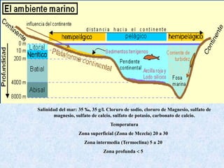Salinidad del mar: 35 ‰, 35 g/l. Cloruro de sodio, cloruro de Magnesio, sulfato de
magnesio, sulfato de calcio, sulfato de potasio, carbonato de calcio.
Temperatura
Zona superficial (Zona de Mezcla) 20 a 30
Zona intermedia (Termoclina) 5 a 20
Zona profunda < 5
 