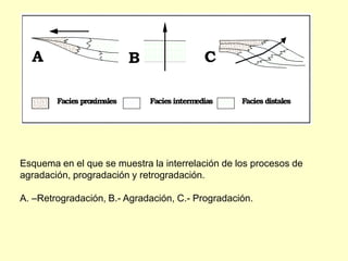 B CA
Facies proximales Facies intermedias Facies distales
Esquema en el que se muestra la interrelación de los procesos de
agradación, progradación y retrogradación.
A. –Retrogradación, B.- Agradación, C.- Progradación.
 
