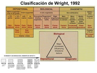 Clasificación de Wright, 1992
 