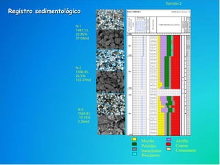 Torreón-2
N-1
1487.13,
23.85%
37.03md
N-2
1500.45,
26.5%
133.27md
N-3
1569.81,
19.76%
2.26md
Bioclastos
Cuarzo
ArcillaMicrita
Peloides
CementanteIntraclastos
Registro sedimentológico
 