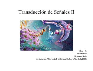 Transducción de Señales II




                                                               Clase 11b
                                                            Bachillerato
                                                        Alejandro Roth
        (referencias: Alberts et al. Molecular Biology of the Cell, 2008)
 