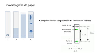 Cromatografía de papel
 