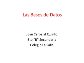 Las Bases de Datos


 José Carbajal Quinto
  5to “B” Secundaria
    Colegio La Salle
 