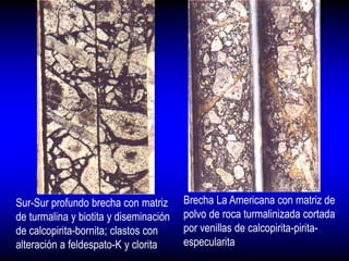Sur-Sur profundo brecha con matriz
de turmalina y biotita y diseminación
de calcopirita-bornita; clastos con
alteración a feldespato-K y clorita
Brecha La Americana con matriz de
polvo de roca turmalinizada cortada
por venillas de calcopirita-pirita-
especularita
 