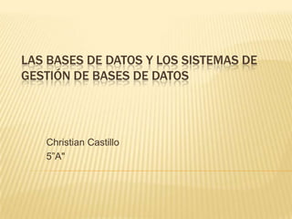 LAS BASES DE DATOS Y LOS SISTEMAS DE
GESTIÓN DE BASES DE DATOS




   Christian Castillo
   5”A"
 